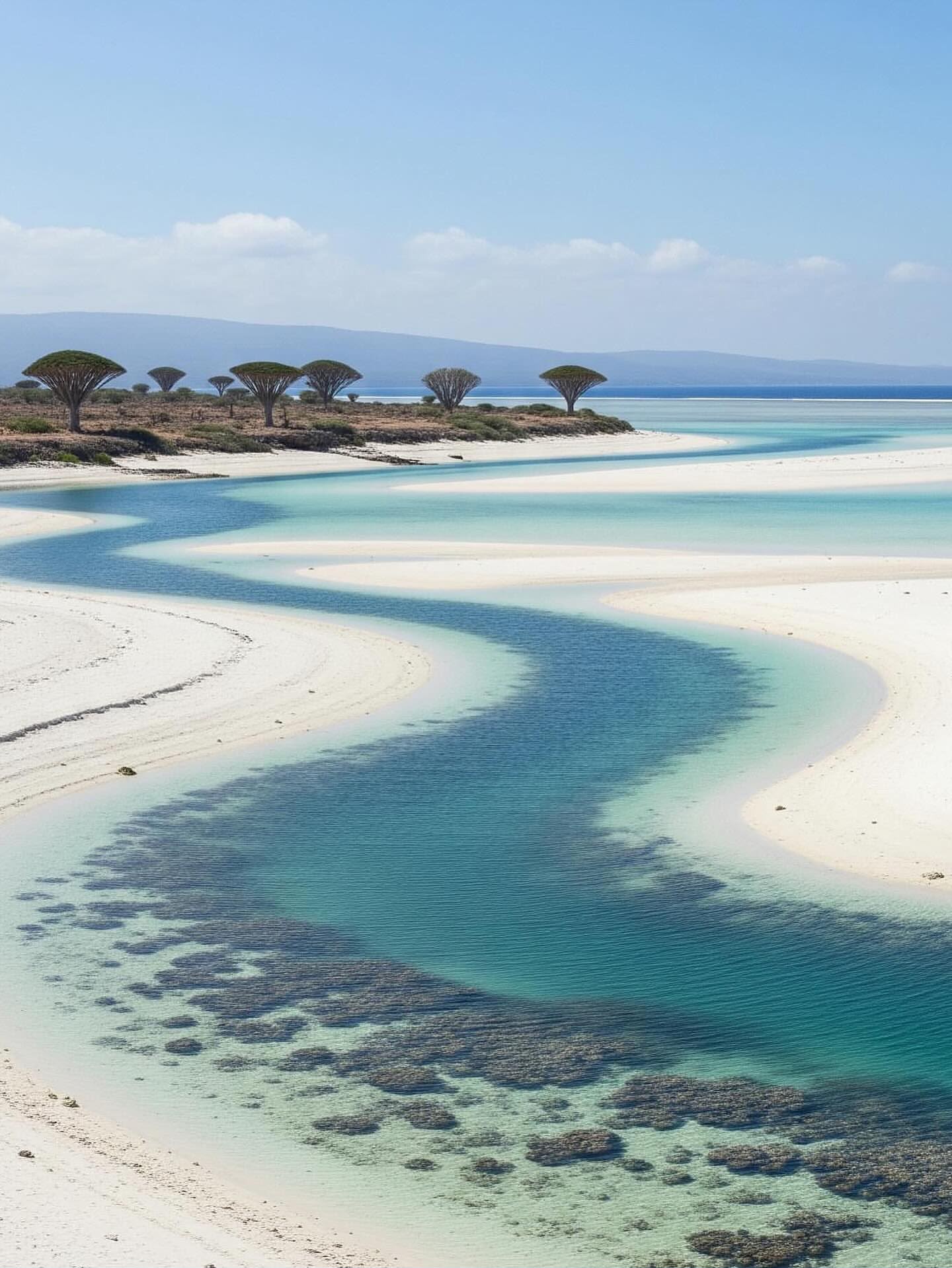 Sokotra Adası Keşif Turu