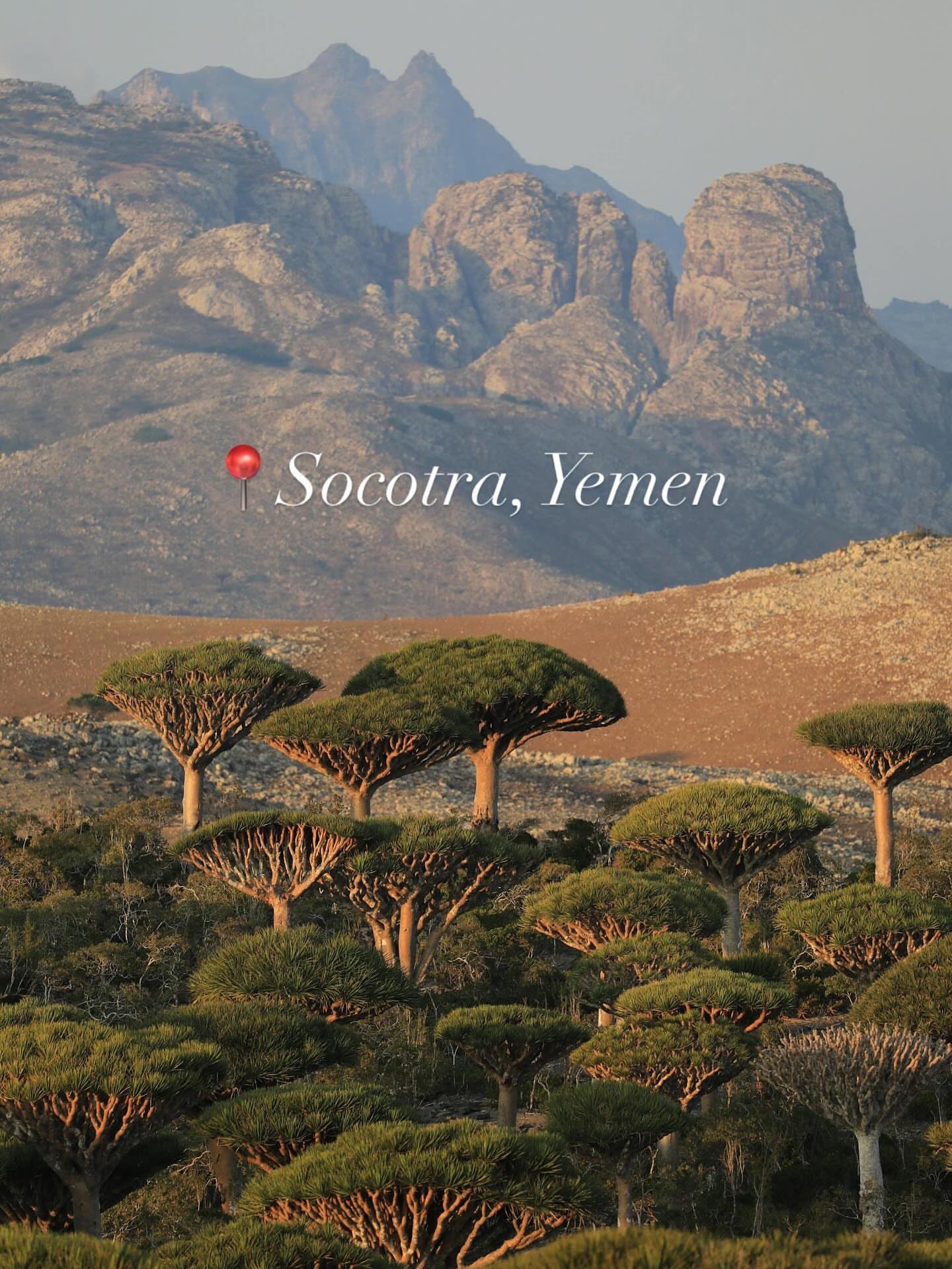 Sokotra Adası Keşif Turu