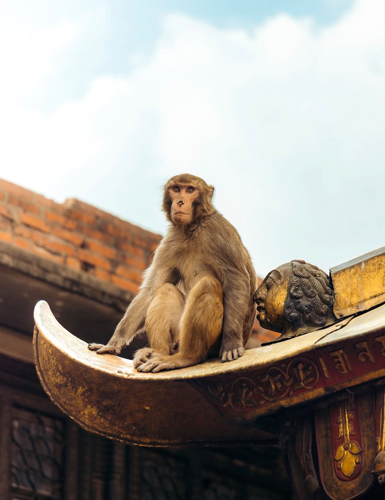 Büyük Nepal Turu